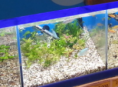 /album/%ec%8b%9c%ea%b3%b5%ec%82%ac%eb%a1%80/a20140212-151232-png/